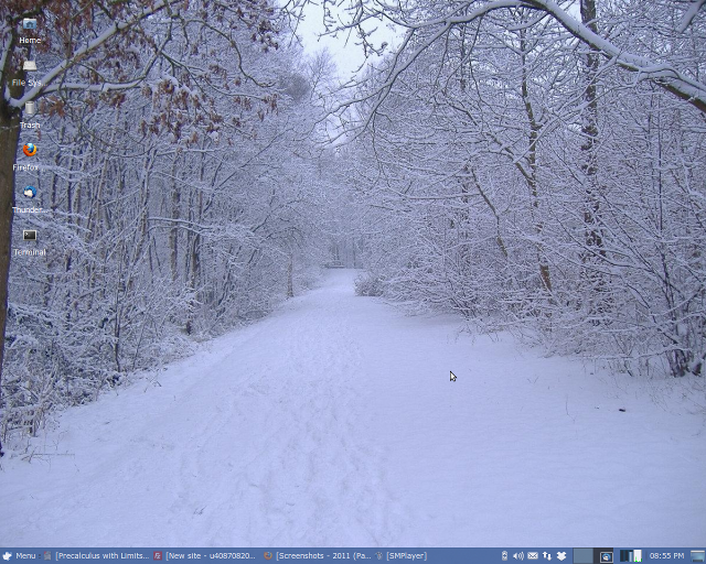 Screenshot_desktop.png